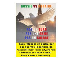 Rassemblement + expo art, pour la fin du règne du belliciste élyséen euro-fasciste.