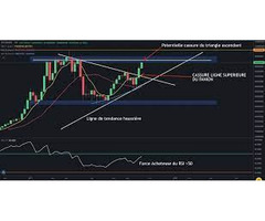 Avis aux amoureux du trading - je forme et je désire un contrat